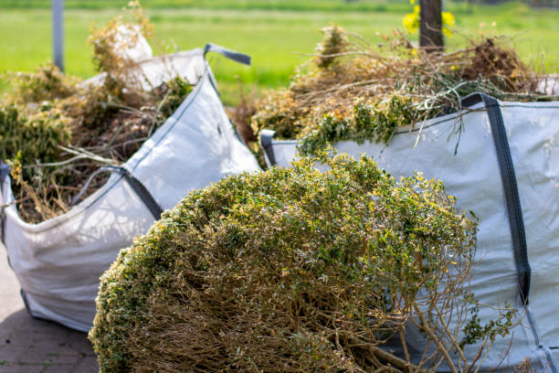 Best Trash Removal Near Me  in Scottsdale, AZ